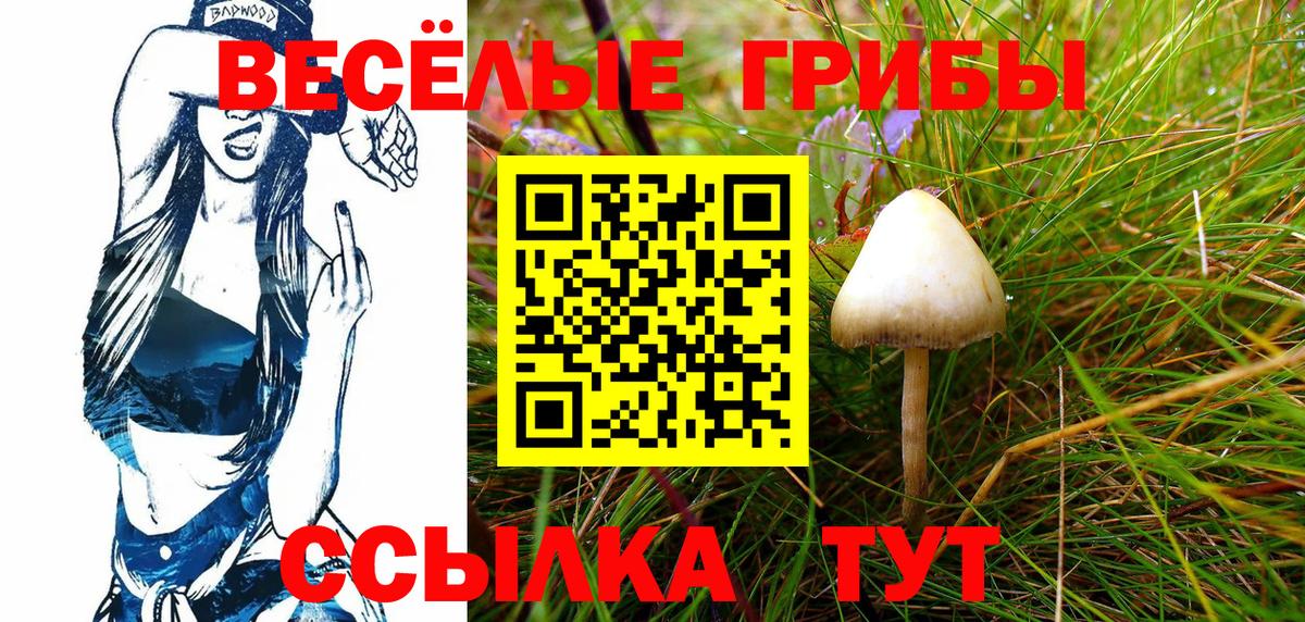 Псилоцибиновые грибы прущие грибы Орёл